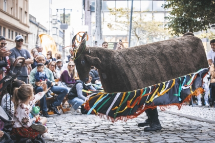 Feira Viva a Cidade leva edição especial de festa junina ao Norte da Ilha
